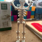  Skeleton Figure Action Skeleton Figurines With Multiple Accessories Realistic Movable Joints Model Statue For Christmas